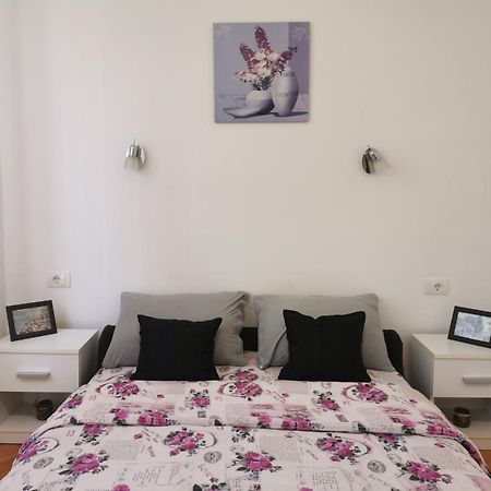 Apartmani La Grande Motte Vrdnik Zewnętrze zdjęcie
