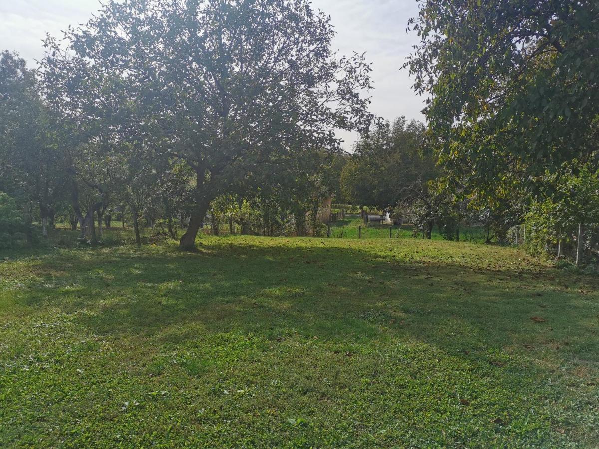 Apartmani La Grande Motte Vrdnik Zewnętrze zdjęcie
