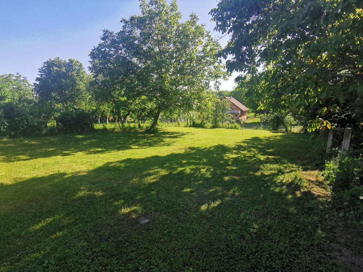 Apartmani La Grande Motte Vrdnik Zewnętrze zdjęcie