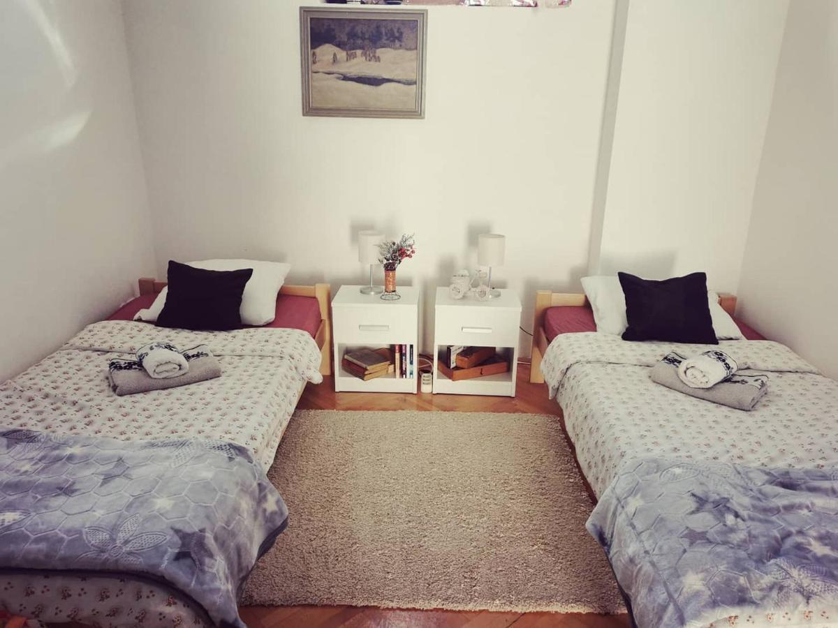 Apartmani La Grande Motte Vrdnik Zewnętrze zdjęcie