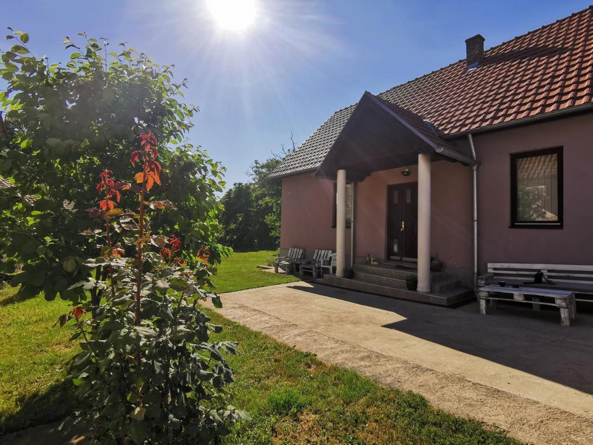 Apartmani La Grande Motte Vrdnik Zewnętrze zdjęcie