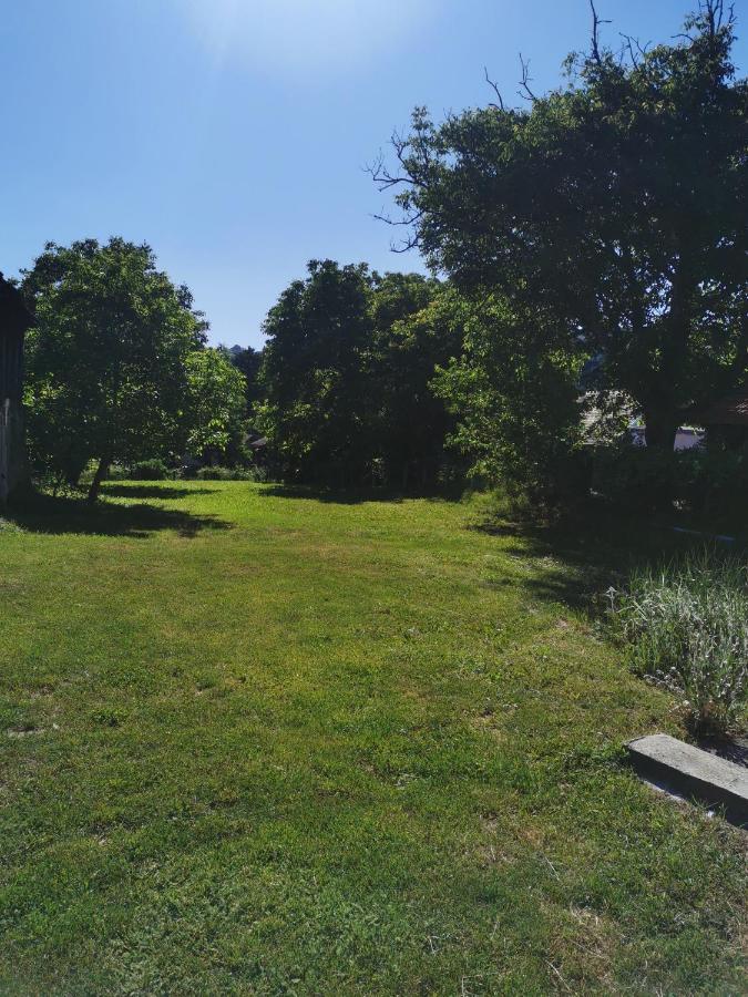 Apartmani La Grande Motte Vrdnik Zewnętrze zdjęcie