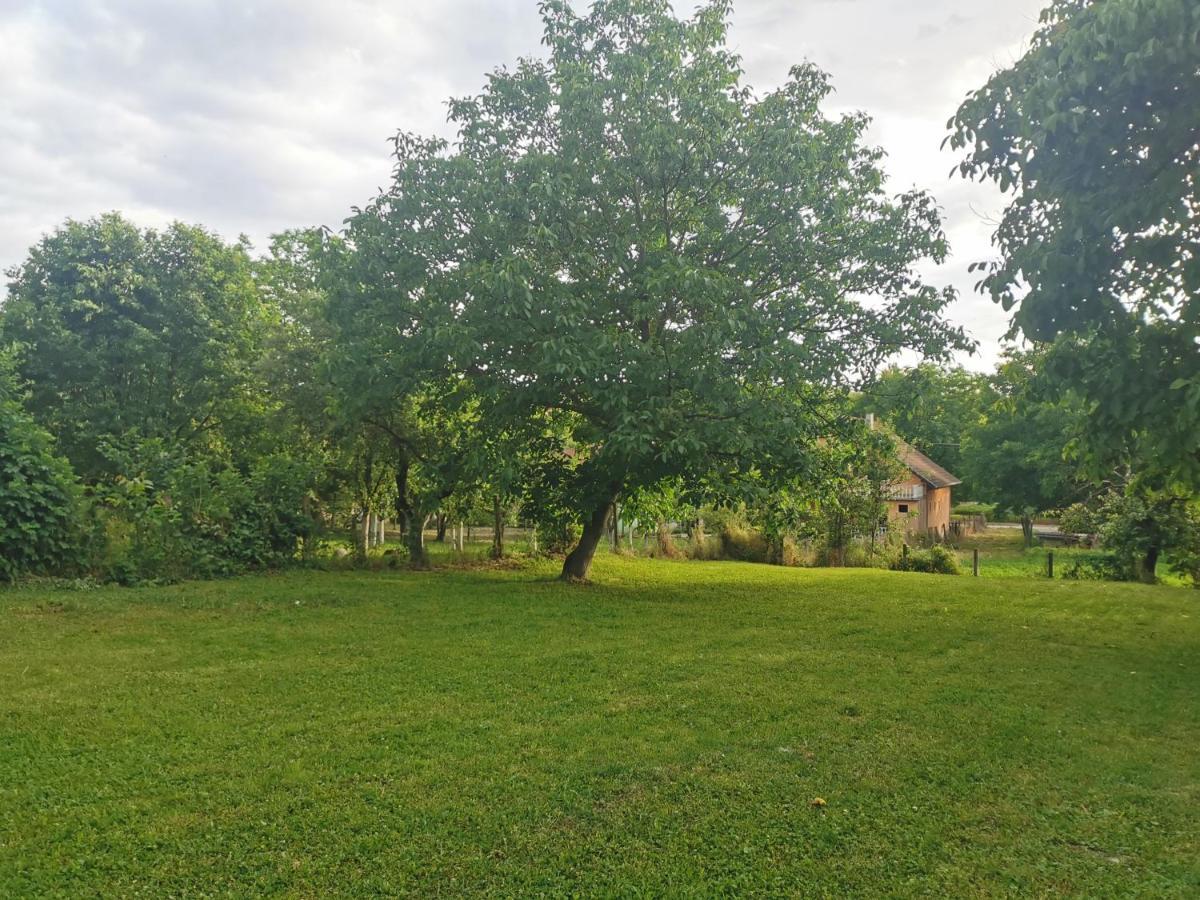 Apartmani La Grande Motte Vrdnik Zewnętrze zdjęcie