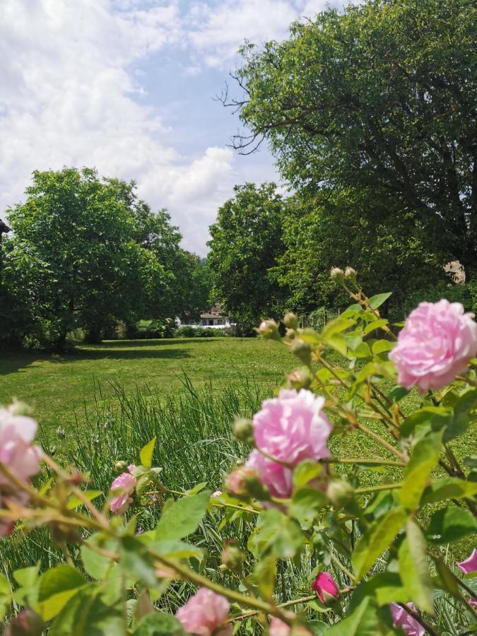 Apartmani La Grande Motte Vrdnik Zewnętrze zdjęcie