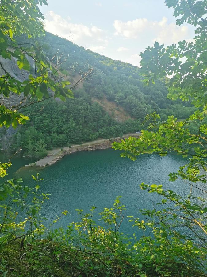 Apartmani La Grande Motte Vrdnik Zewnętrze zdjęcie