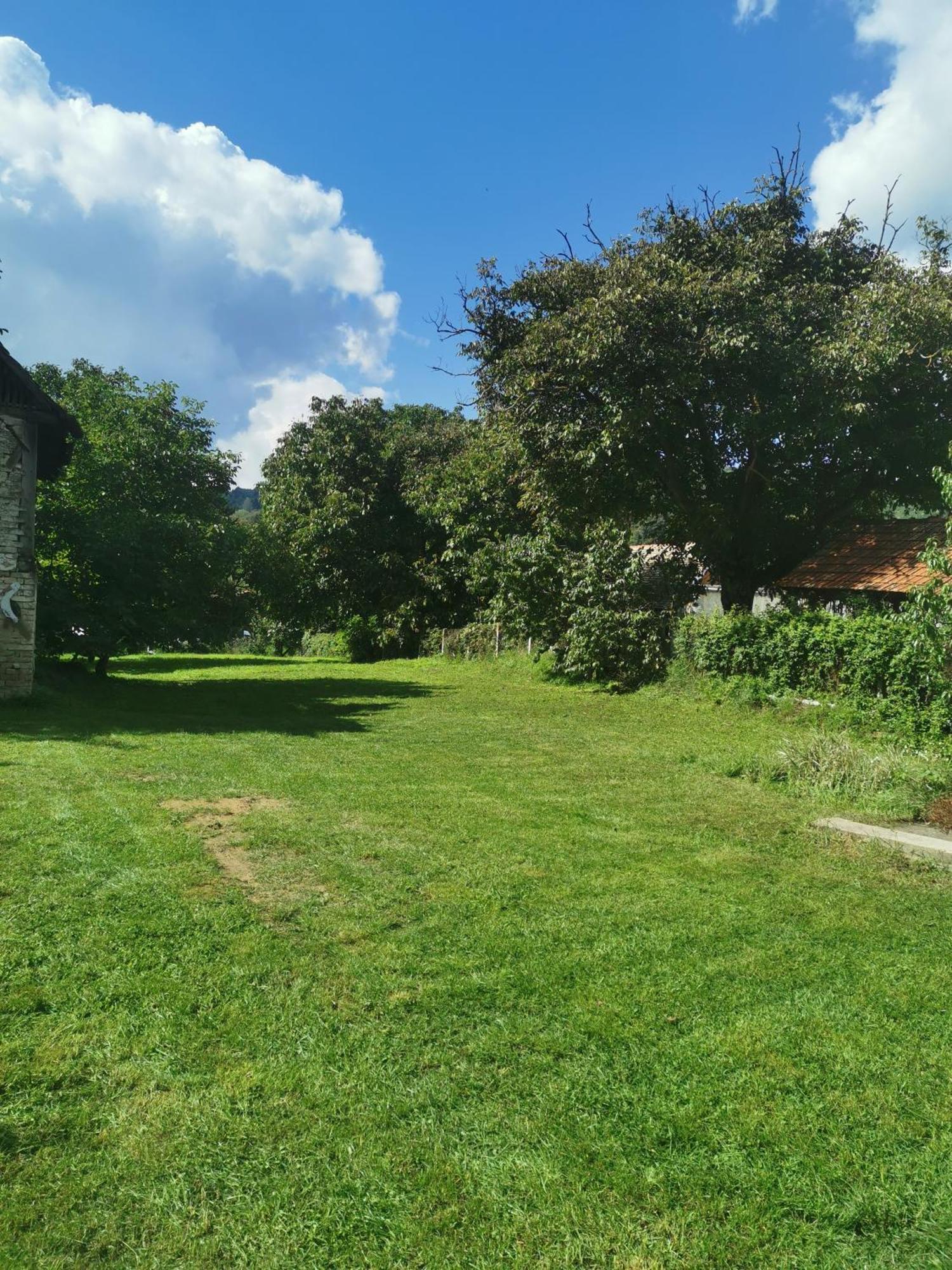 Apartmani La Grande Motte Vrdnik Zewnętrze zdjęcie