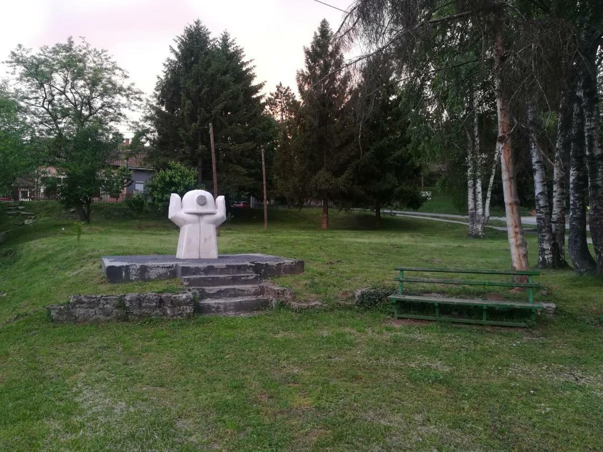 Apartmani La Grande Motte Vrdnik Zewnętrze zdjęcie