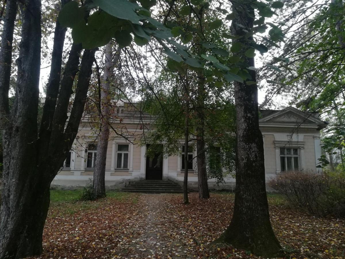 Apartmani La Grande Motte Vrdnik Zewnętrze zdjęcie