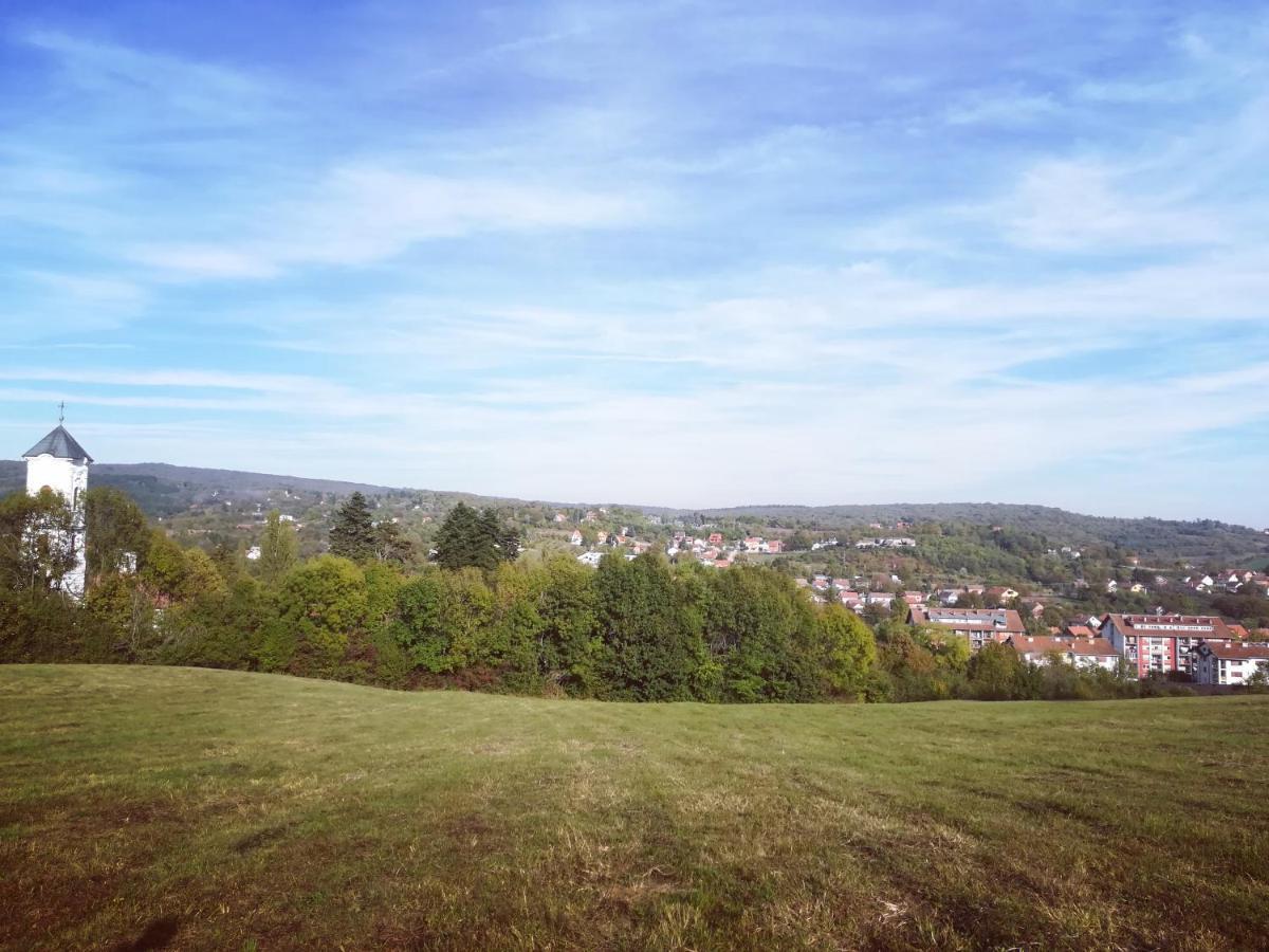 Apartmani La Grande Motte Vrdnik Zewnętrze zdjęcie
