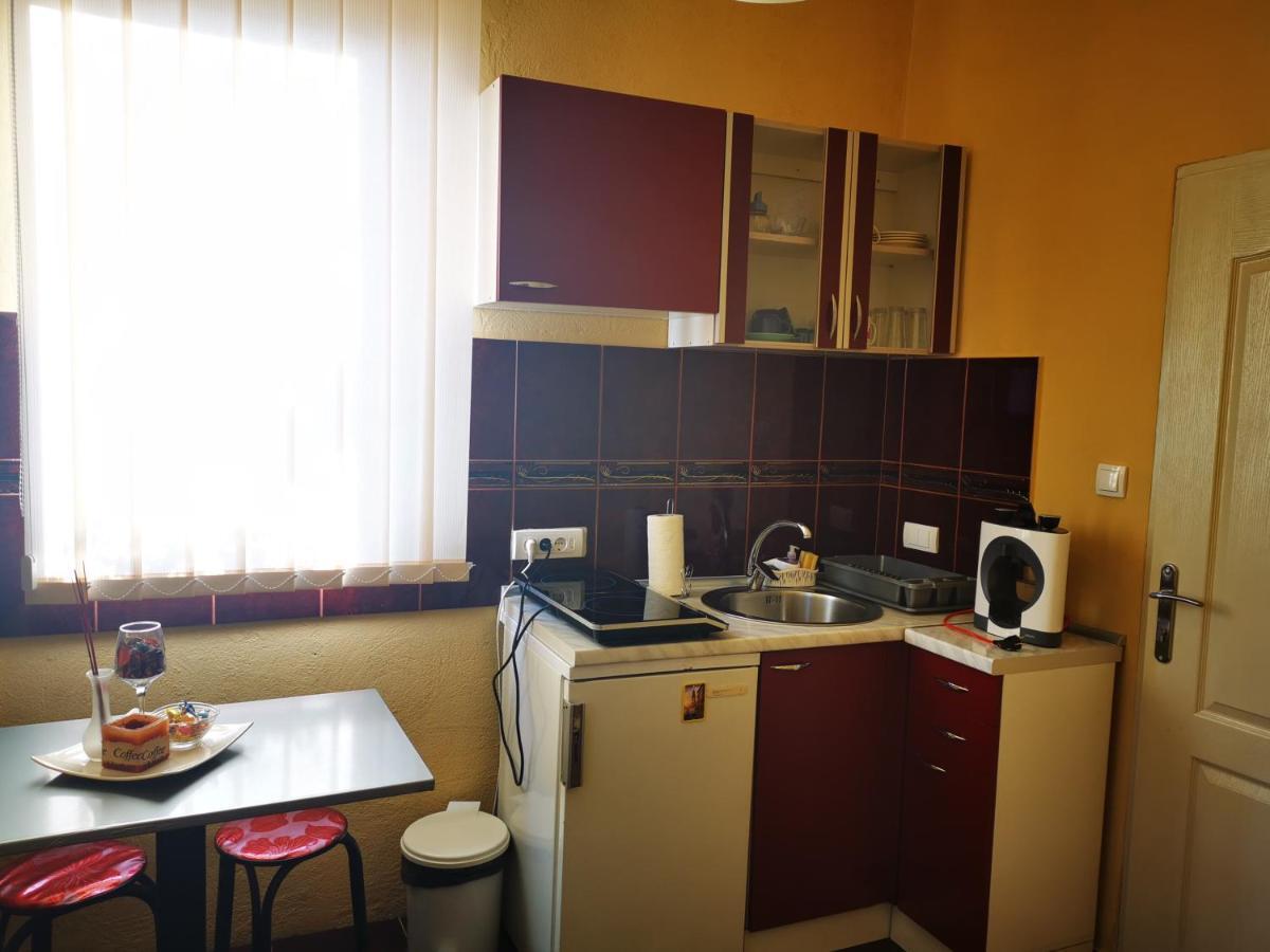 Apartmani La Grande Motte Vrdnik Zewnętrze zdjęcie