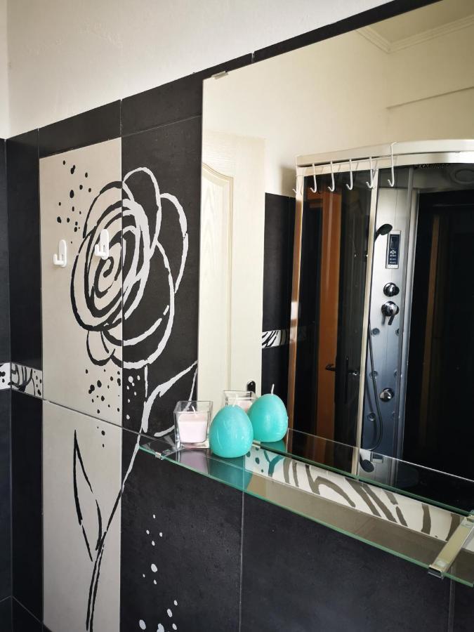 Apartmani La Grande Motte Vrdnik Zewnętrze zdjęcie