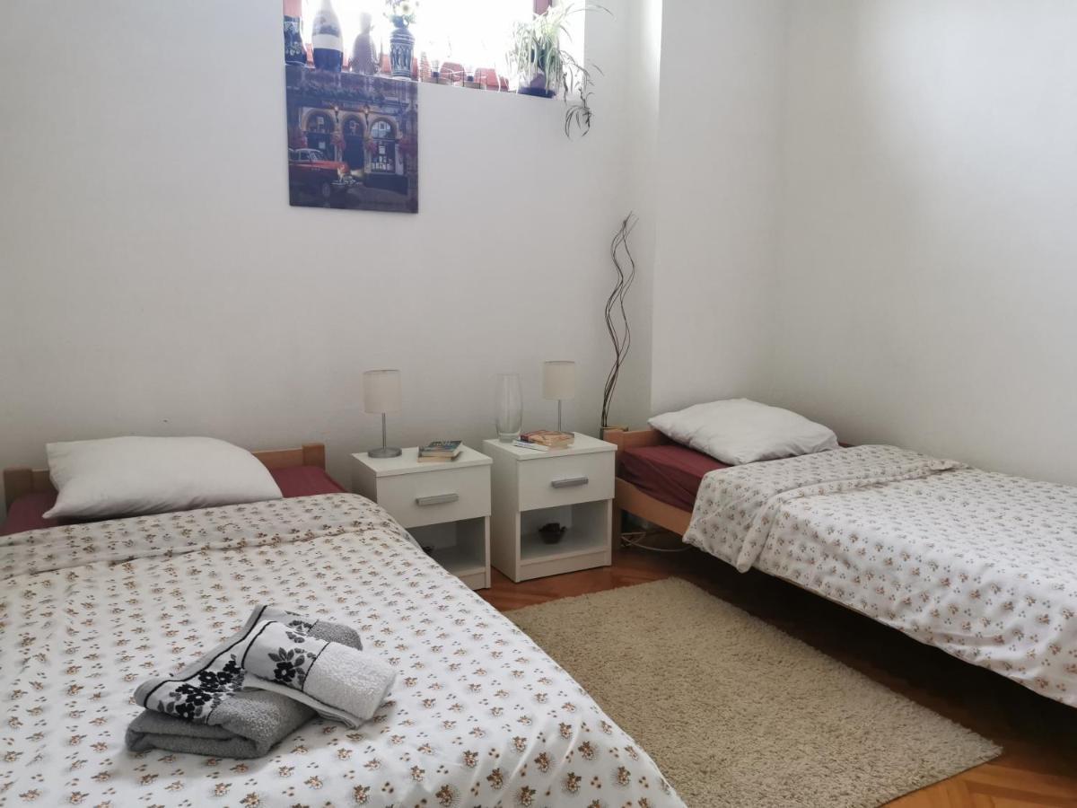 Apartmani La Grande Motte Vrdnik Zewnętrze zdjęcie